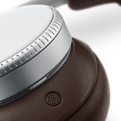 Beoplay H100