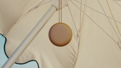 Beosound A1 3rd. Generation