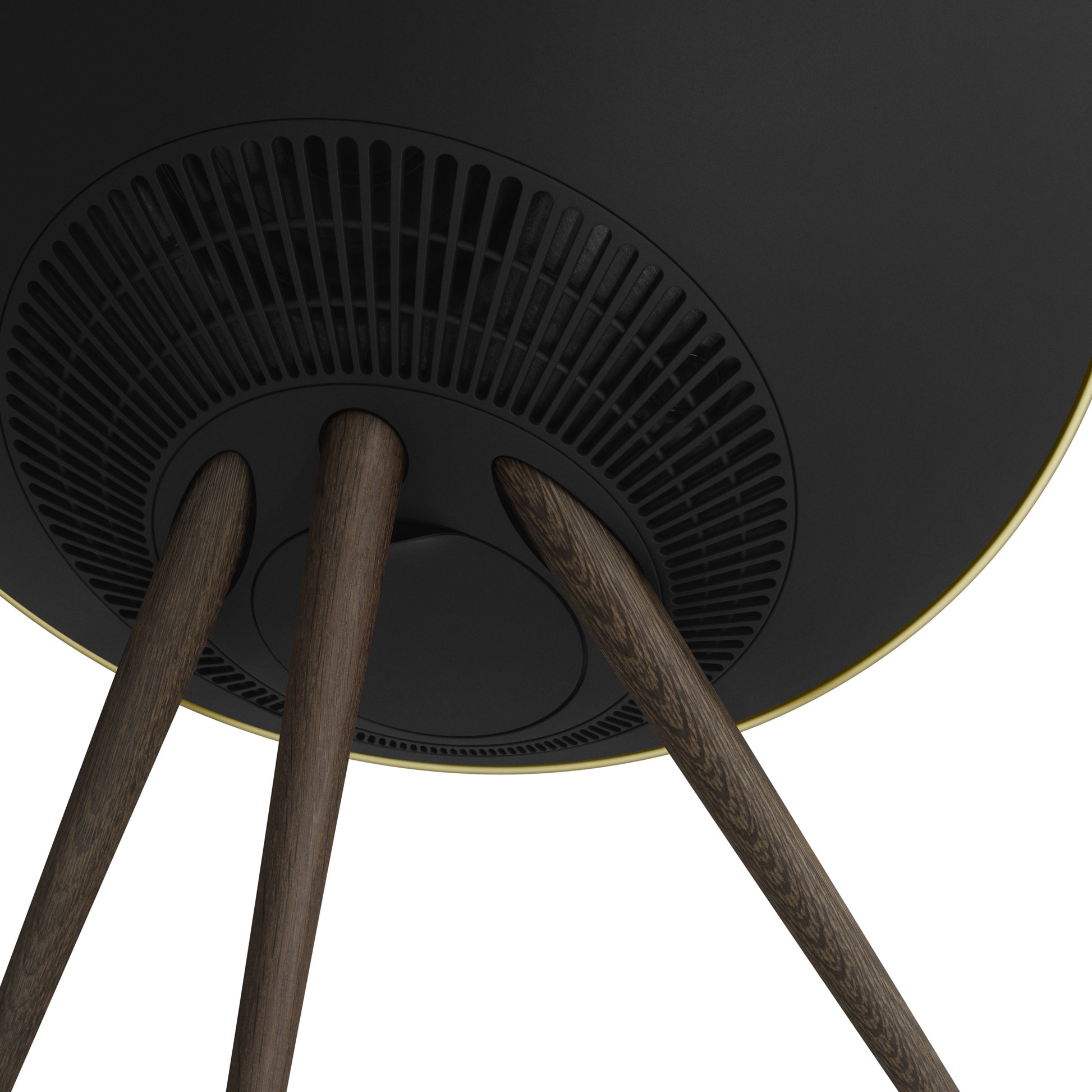 Bang & Olufsen BeoPlay A9 Brass Tone - Füße aus geräucherter Eiche